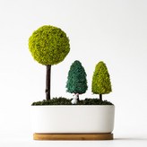 스프링그린 × 1개