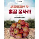 주스용 크기혼합5kg × 1개
