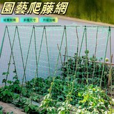綠色18股1.8*1.8米 普通款 × 1個