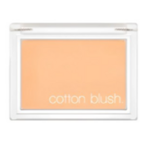 만다린 에이드 (웜톤)