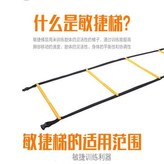 新款固定式敏捷梯4米8節 × 1個