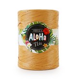 9 淺焦糖色 × 1個