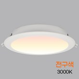 전구색+화이트