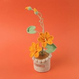 橘色 - 雪五油桐盆栽 大號柱形毛線盆 × 1個