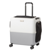 雪花函館L × 1個