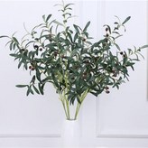올리브가지 대 × 3개