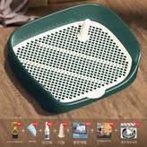 Y. 그린 대형 × 1개