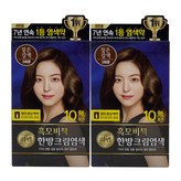 짙은갈색