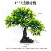 1537綠色造景樹 × 1個