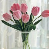 아이보리퍼플 × 1개