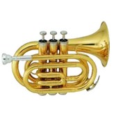 Golden With Bag × 1개