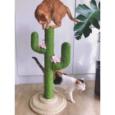 케리 작은 선인장 × 1개