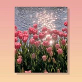 diy튤립 × 1세트