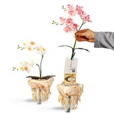 (고급옵션)핑크 × 1개