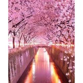 HM-102벚꽃 × 1개