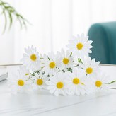 1支白色雛菊（5朵花） × 1個