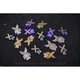 單片請自備註 × 1個