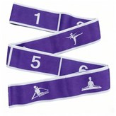 深紫體式款【10格】 × 1個