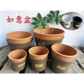 咖啡色,如意盆10.5吋 × 1個