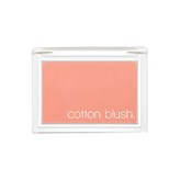 PICNIC BLANKET (피크닉 블랭킷)