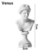 Venus × 1개