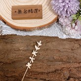 細葉薰衣草28.5cm 可修剪 × 1個