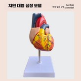 대형 심장 - 무표시 × 1개