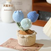 鬱金香 - 天藍漸變 × 1個
