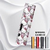 035 여자고양이 × 1개