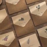 식물 시리즈 × 12개