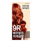 9R매우밝은적색금발