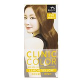 꽃을든남자 Y10 레몬옐로우 염색약