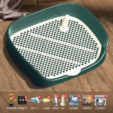 Y. 그린 대형 × 1개