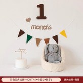 30天滿月 1months 三角拉旗套裝 × 1套