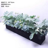 페르시안그래스 조합19 × 1개