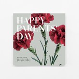 어버이날 레드 카네이션 × 30개