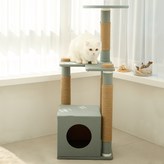 블루그레이 × 1개