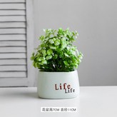 Life花盆+淡綠富貴葉M × 1個