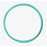 Coastal Teal × 1個