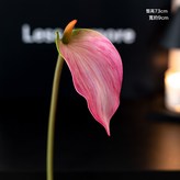 花開大紅掌深粉:1個 × 1個