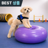 퍼플 × 1개