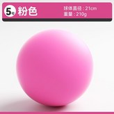 【百世流粉-純】5號靜音球+網兜 × 1個