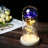 골드 블루 × 1개