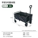 禮品促銷款5寸黑 × 1個