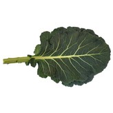 쌈케일2kg × 1개