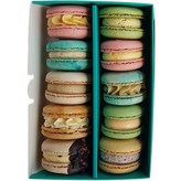 1세트 × 베이직 01