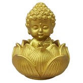 전신황금색 × 1세트