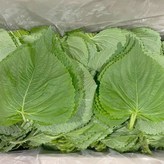 1kg × 1개