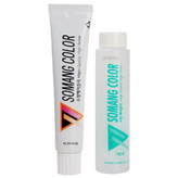 B2 청색을띤흑갈색