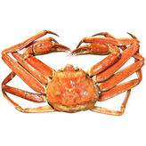 2kg 이상(2마리) × 1개